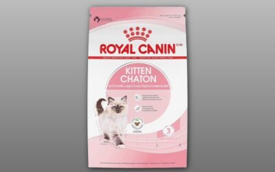 Royal Canin Feline Health Nutrition Kitten Review