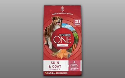 Purina ONE Natural Sensitive Stomach +Plus Skin & Coat Review