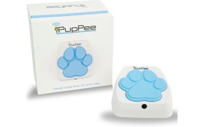 Dog Potty Training Talking Button & Service Dog Medical Alert System Review