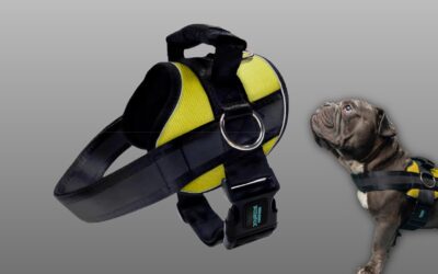 Joyride Harness 2.0 Review