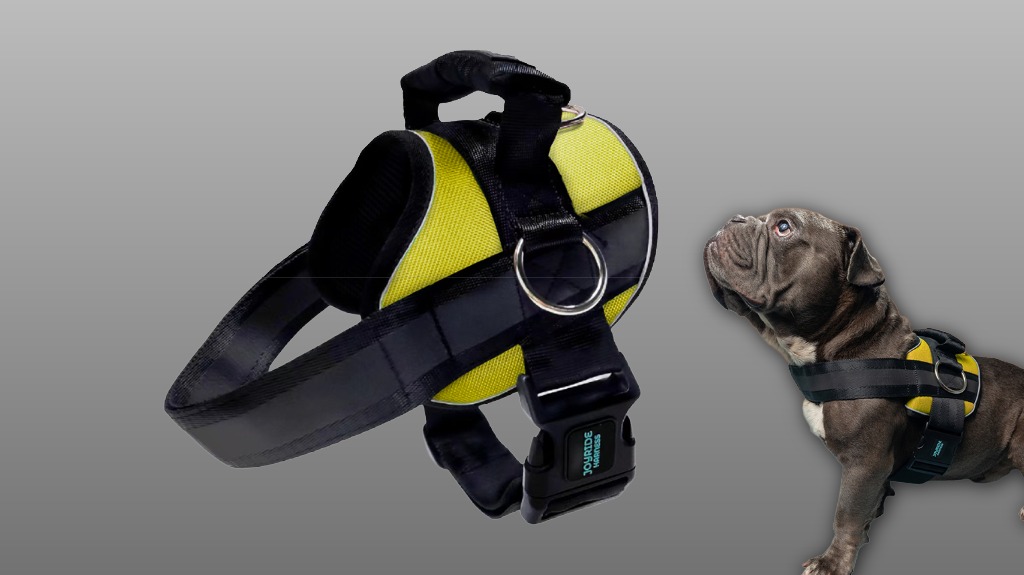 sleek adjustable kid carrier sleek adjustable kid carrier