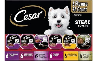 Cesar Wet Dog Food Steak Lovers Variety Pack Review