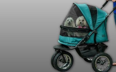 Pet Gear NO-Zip Double Pet Stroller Review