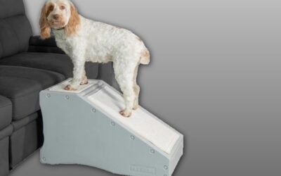 Pet Gear Stramp Stair and Ramp Review
