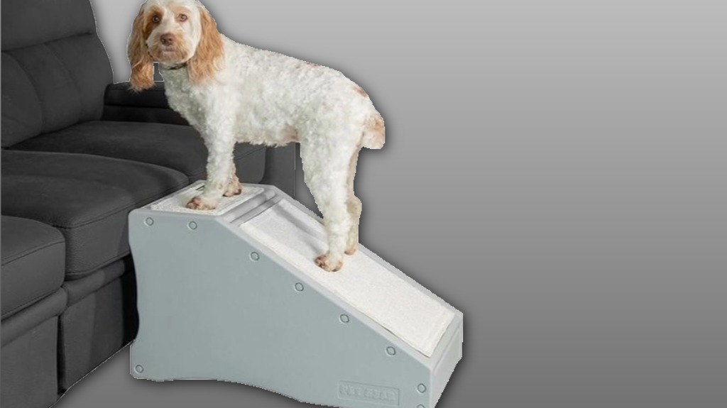 sturdy pet ramp with stairs