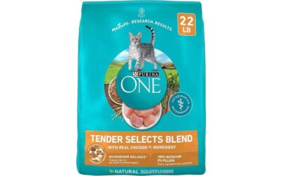 Purina ONE Natural Dry Cat Food Tender Selects Review