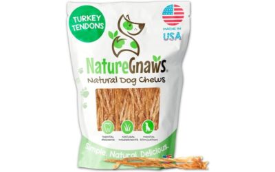 Nature Gnaws USA Turkey Tendons for Dogs Review