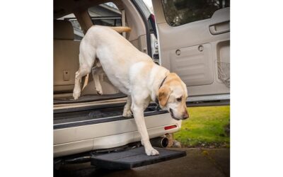 USA Made Otto Step Pet Ramp Step Review