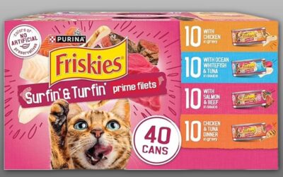 Purina Friskies Gravy Wet Cat Food Variety Pack Review