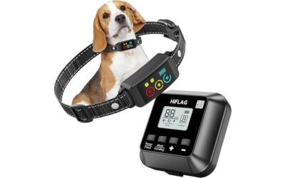 Next-Gen 2026 Wireless Pet Fence Review